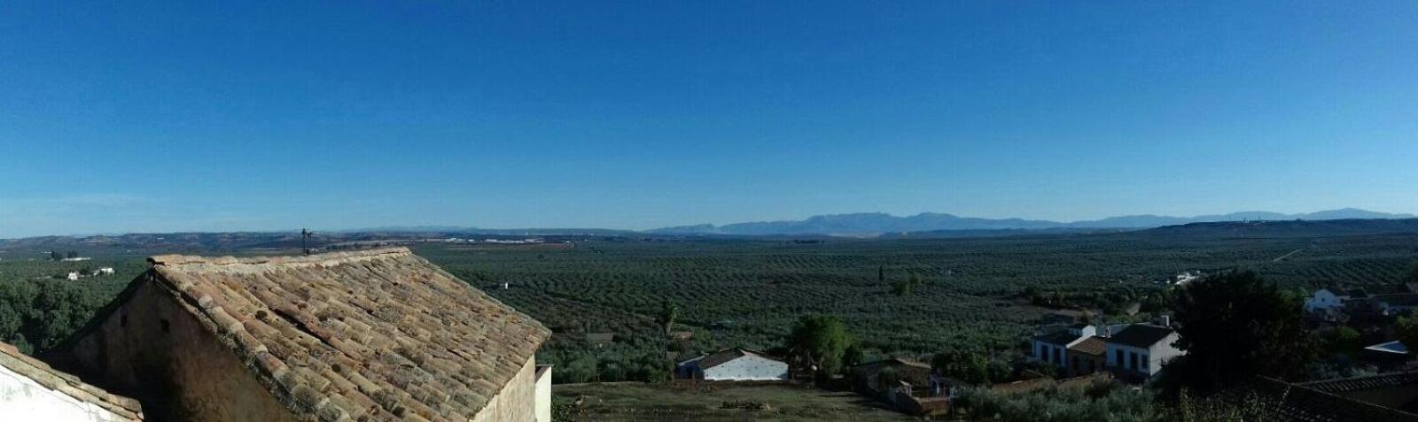 Casa Rural Verde Oliva Baños de la Encina Exteriér fotografie